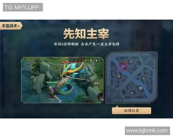 深入探讨王丽的成功秘诀与王者荣耀的崛起之路