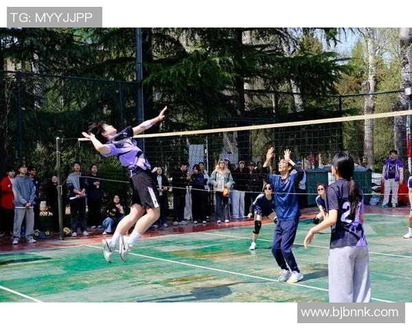 杭州排球队的团队协作之道：共创辉煌的排球精神与默契配合