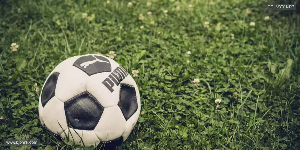 🔥 汗水与欢呼共鸣,